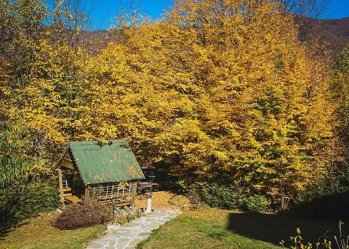 усадьба эрташ